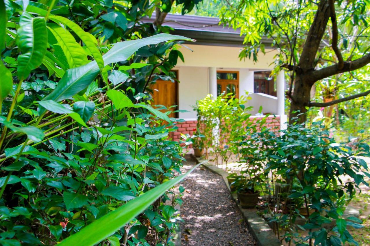 Galaxy View Homestay Sigiriya Bagian luar foto