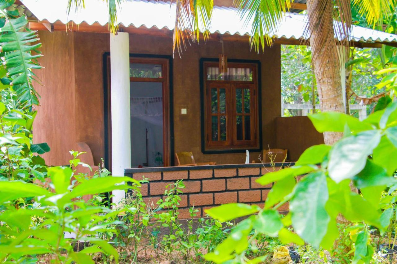 Galaxy View Homestay Sigiriya Bagian luar foto