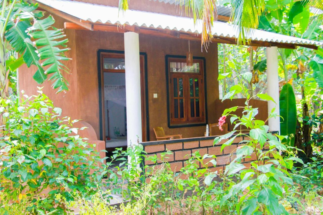 Galaxy View Homestay Sigiriya Bagian luar foto