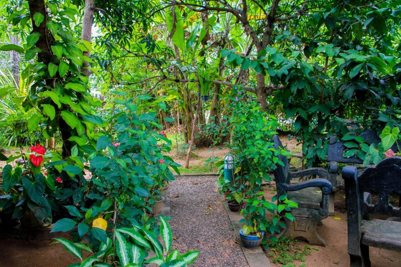 Galaxy View Homestay Sigiriya Bagian luar foto