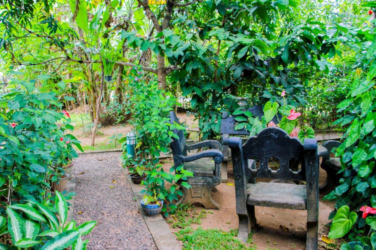 Galaxy View Homestay Sigiriya Bagian luar foto